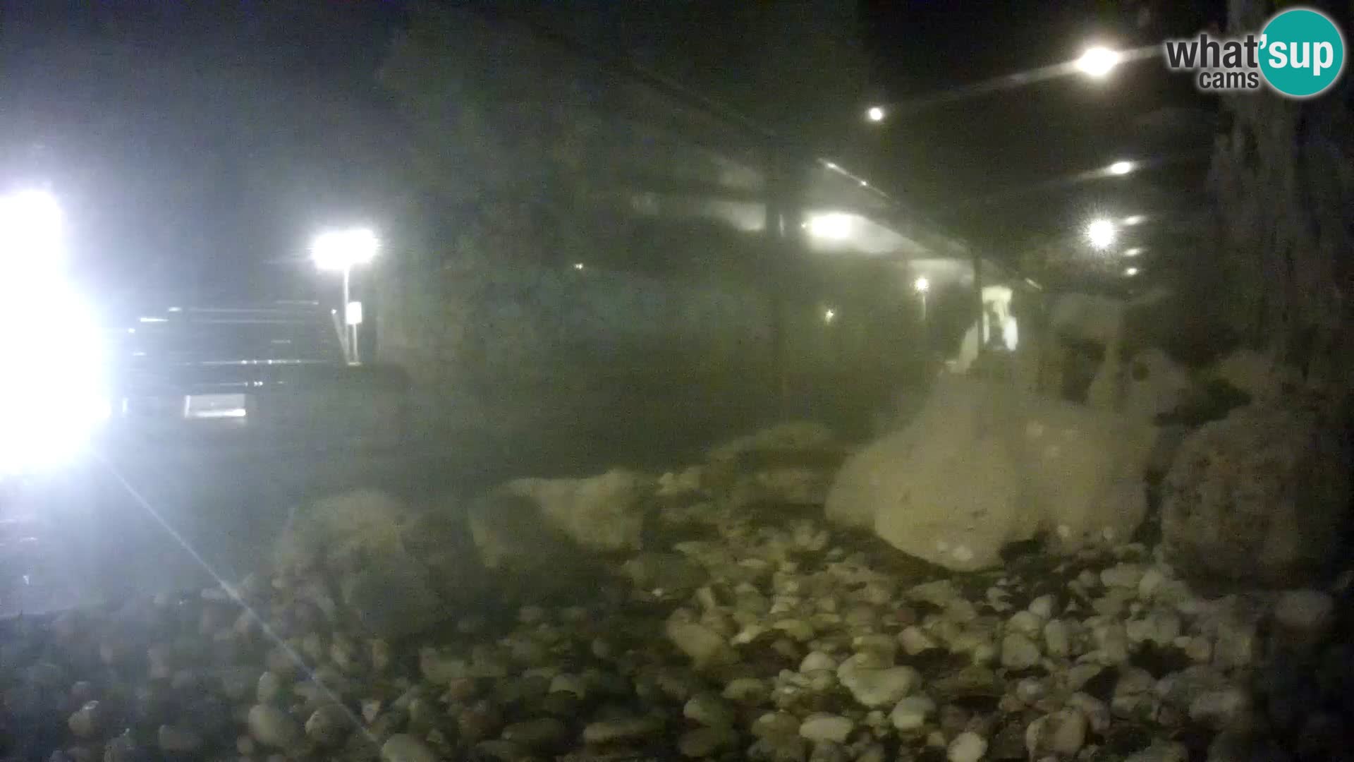 Aquario marino esterno –  Rogoznica livecam Croazia