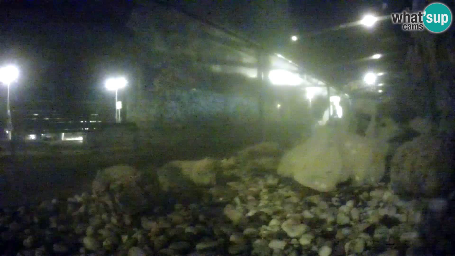 Marine Aquarium im Freien Rogoznica webcam Kroatien