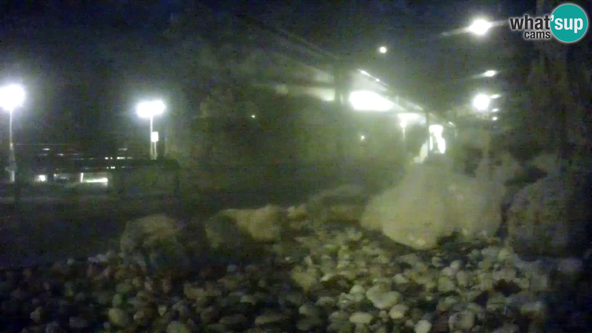 Outdoor Marine Aquarium Rogoznica webcam Croatia