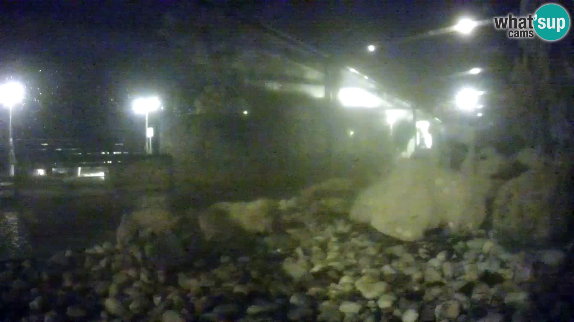 Vanjski morski akvarij Rogoznica web kamera Hrvatska