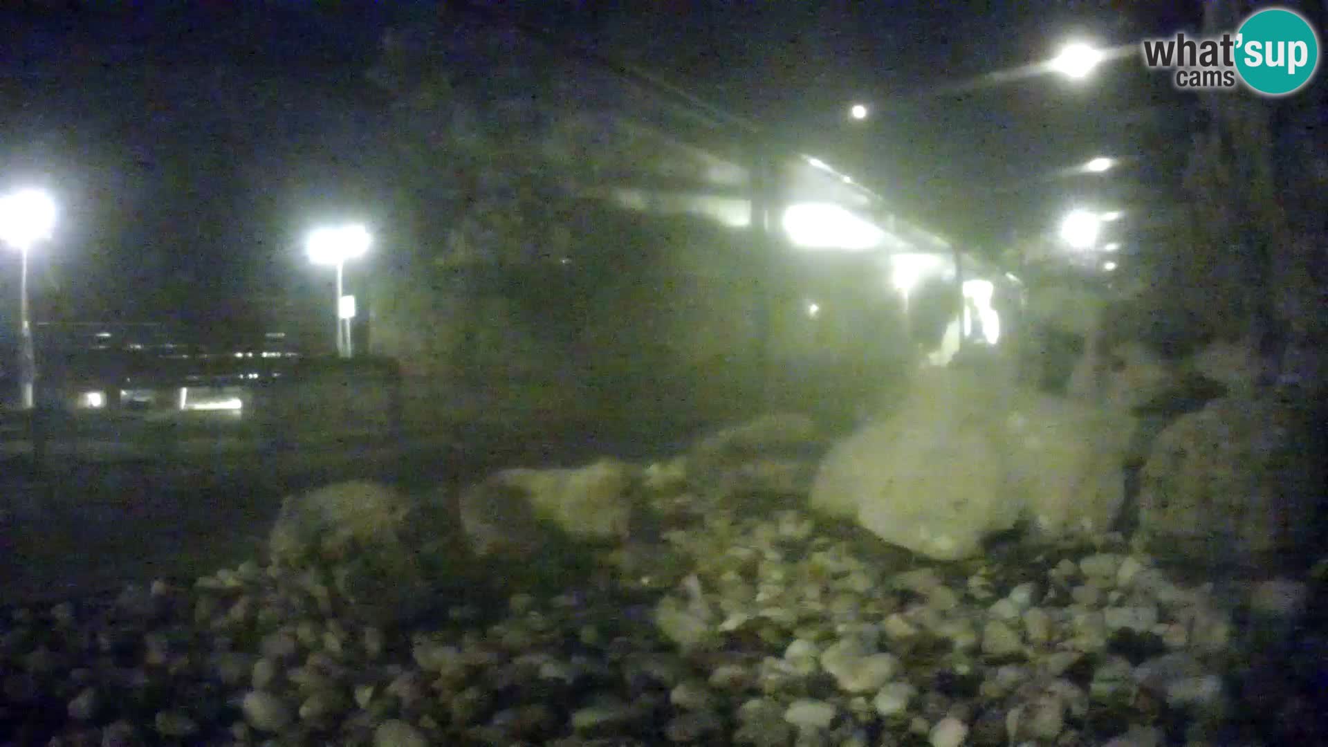 Aquario marino esterno –  Rogoznica livecam Croazia