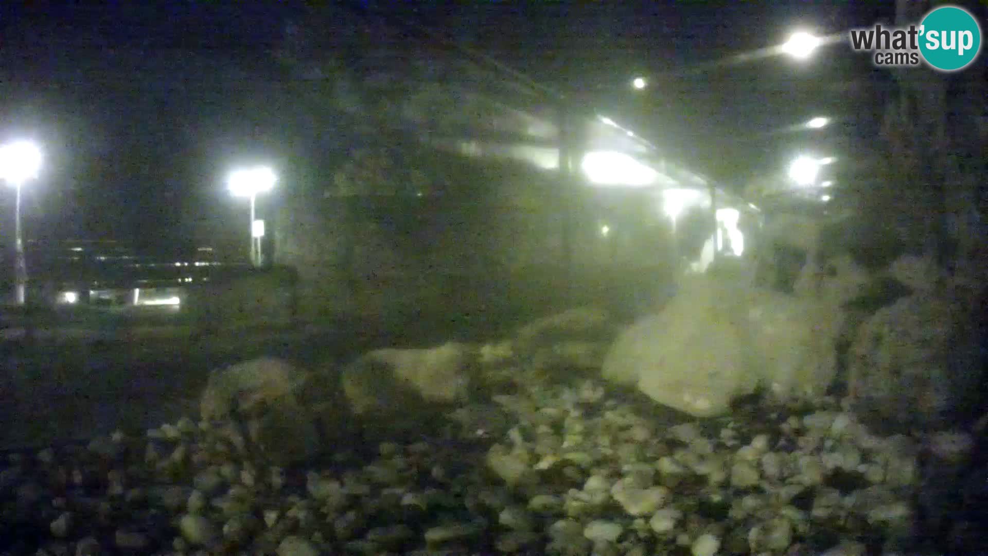 Marine Aquarium im Freien Rogoznica webcam Kroatien