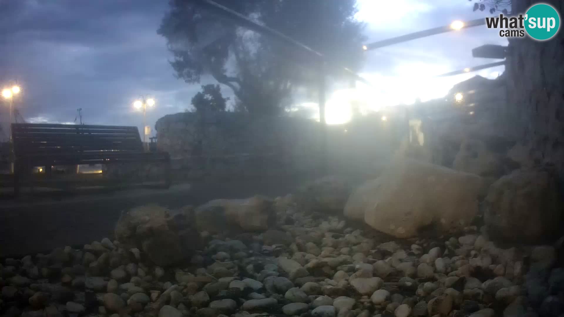 Zunanji morski akvarij Rogoznica spletna kamera Hrvaška