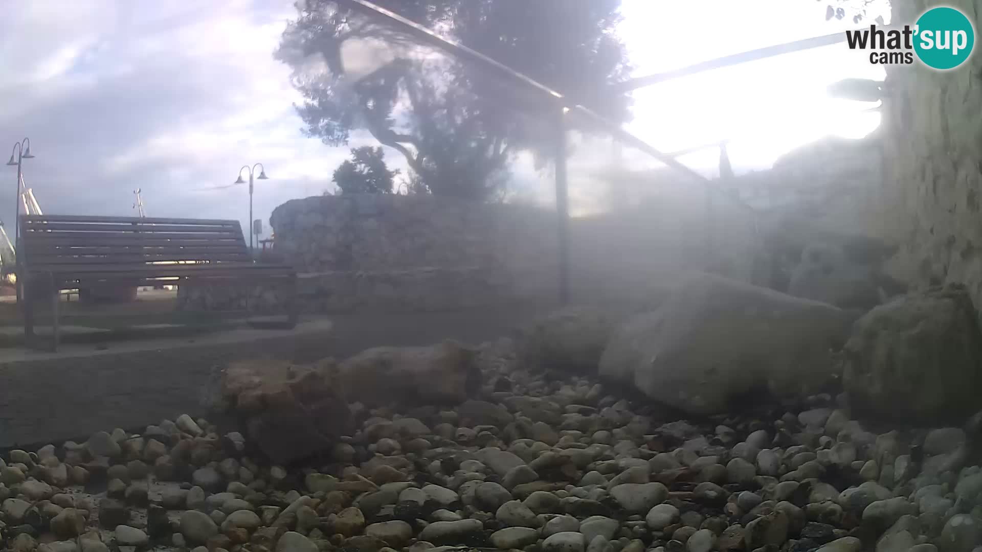 Aquario marino esterno –  Rogoznica livecam Croazia