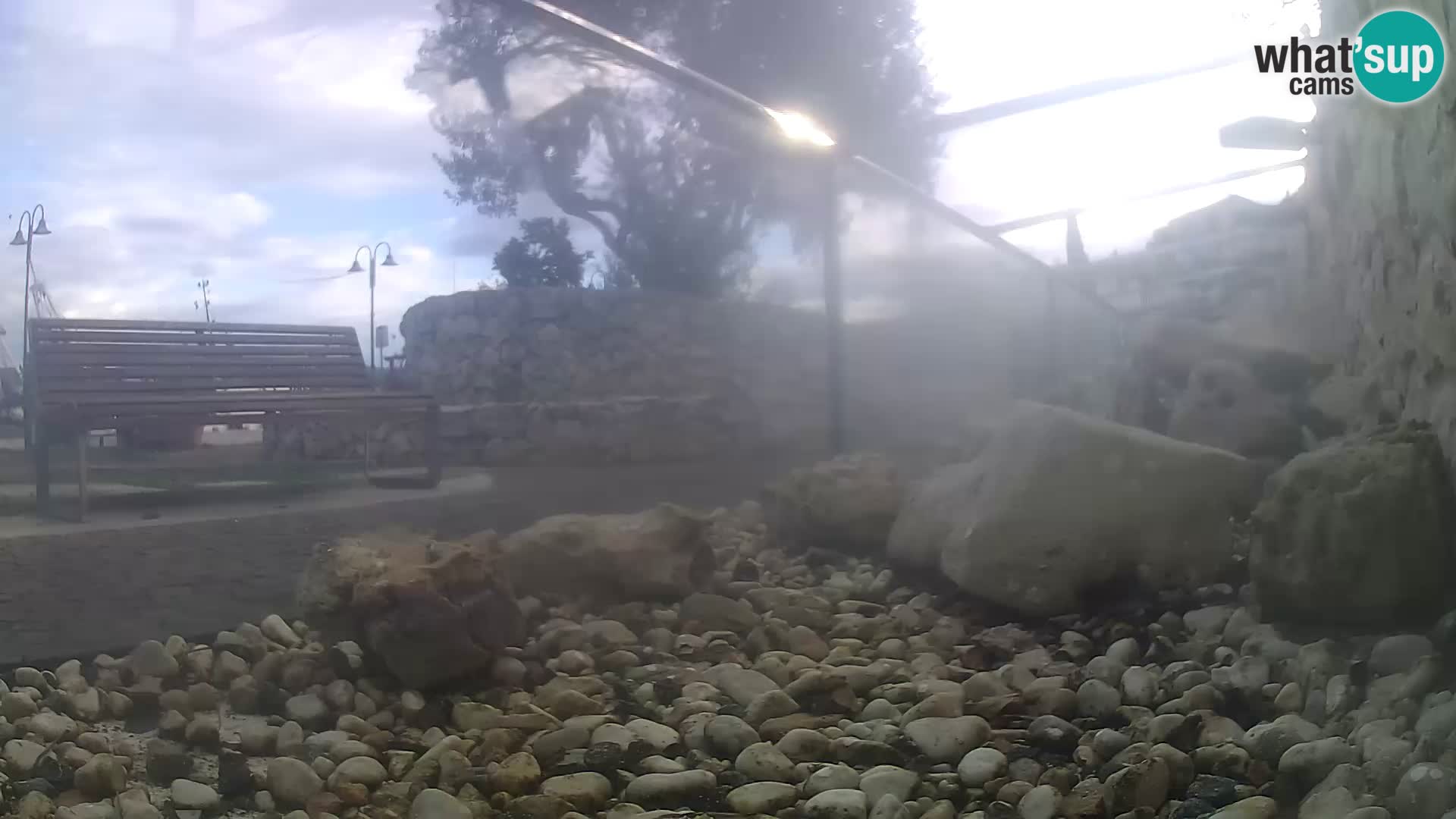 Zunanji morski akvarij Rogoznica spletna kamera Hrvaška