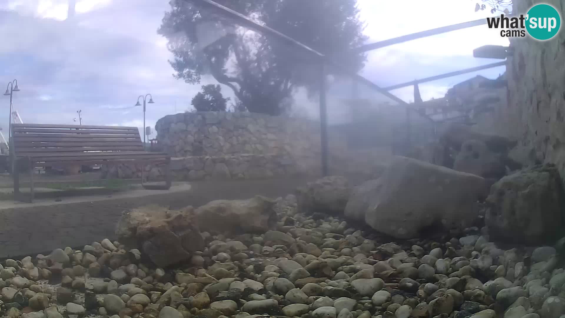 Marine Aquarium im Freien Rogoznica webcam Kroatien
