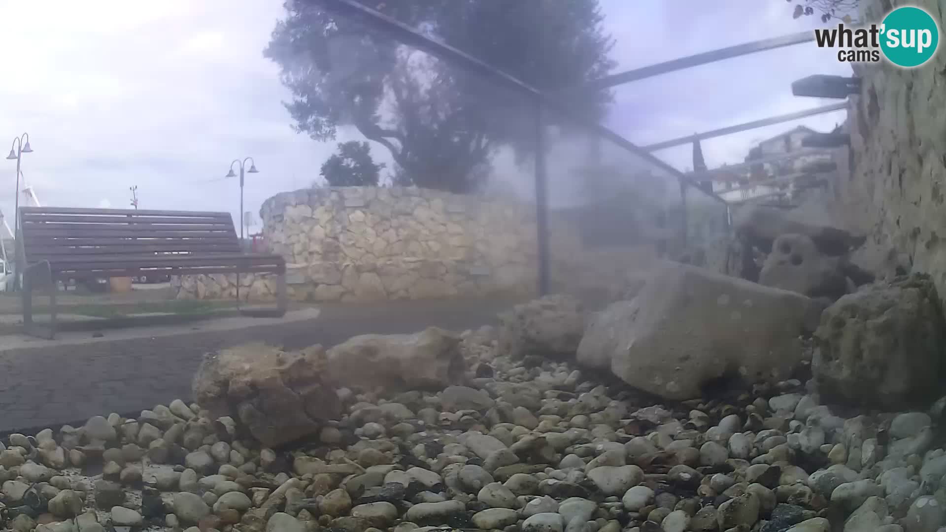 Vanjski morski akvarij Rogoznica web kamera Hrvatska