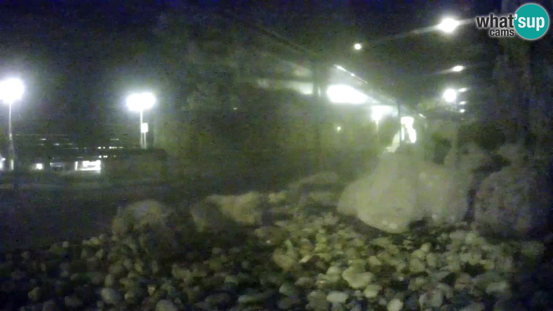 Vanjski morski akvarij Rogoznica web kamera Hrvatska