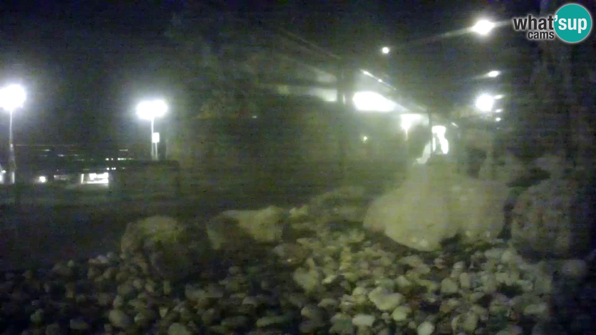 Outdoor Marine Aquarium Rogoznica webcam Croatia