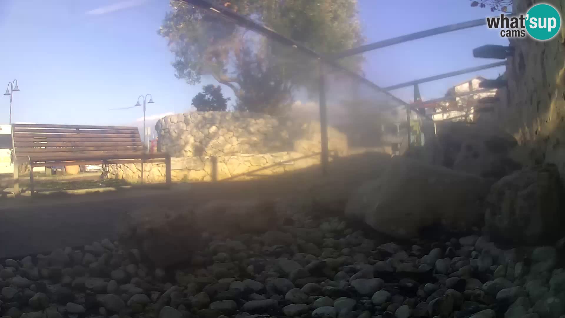 Marine Aquarium im Freien Rogoznica webcam Kroatien