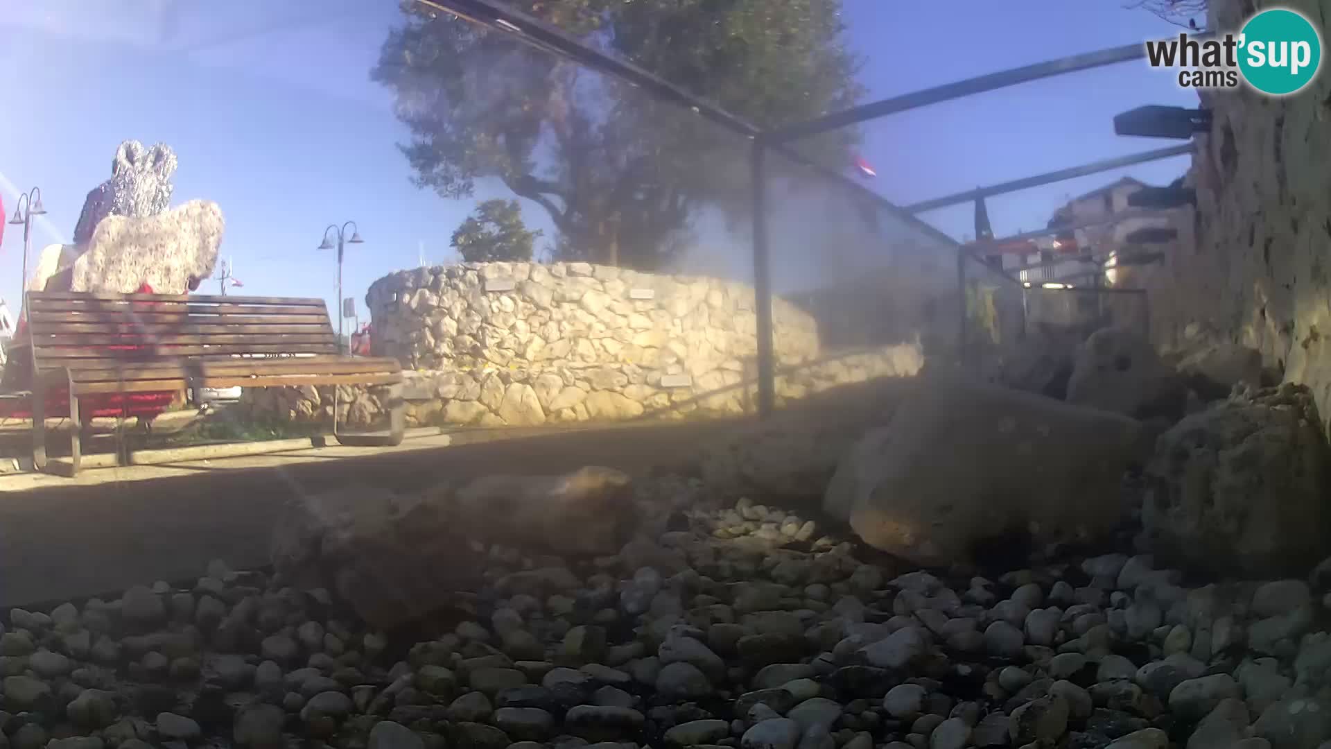 Outdoor Marine Aquarium Rogoznica webcam Croatia