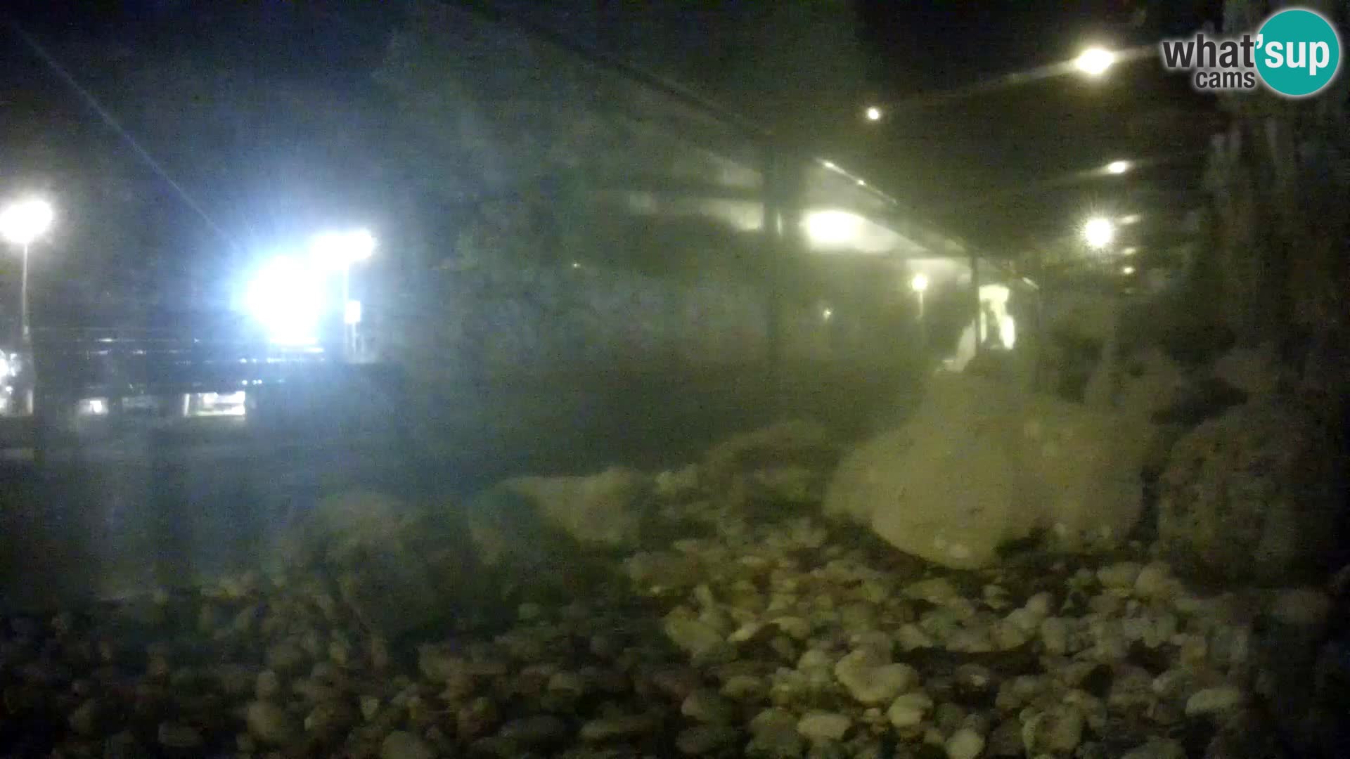 Aquario marino esterno –  Rogoznica livecam Croazia