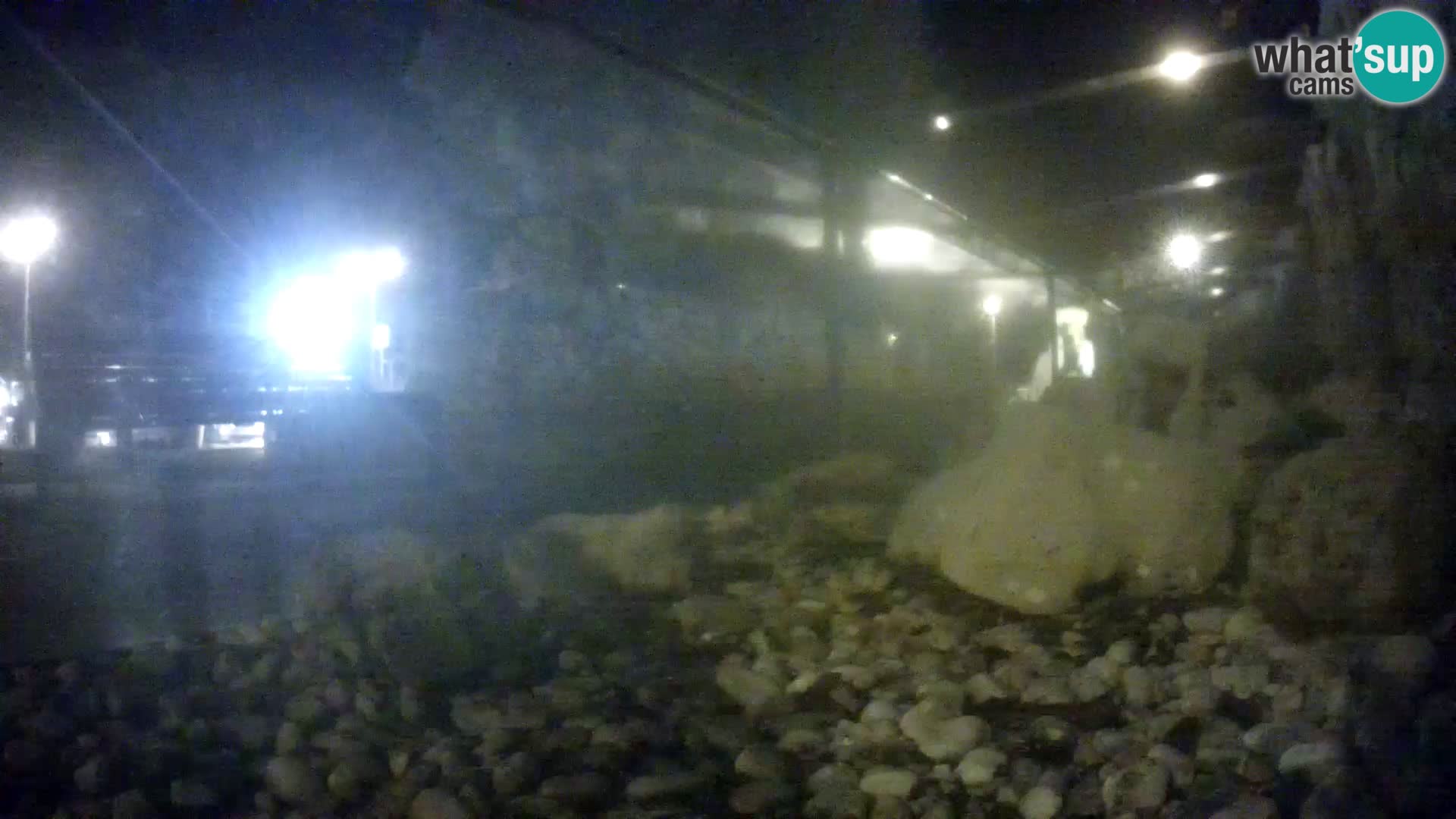 Zunanji morski akvarij Rogoznica spletna kamera Hrvaška