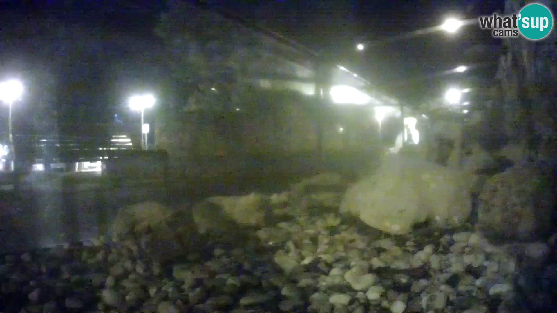 Aquario marino esterno –  Rogoznica livecam Croazia