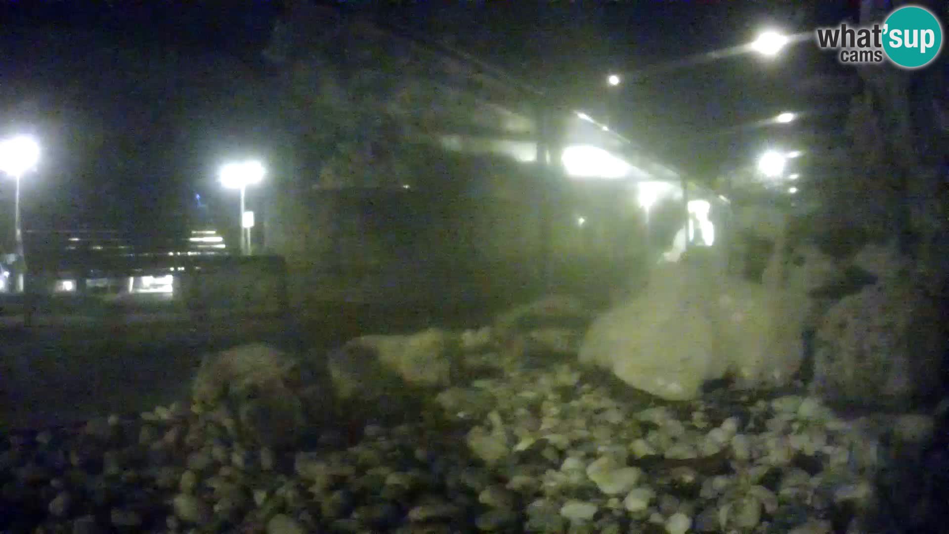 Vanjski morski akvarij Rogoznica web kamera Hrvatska