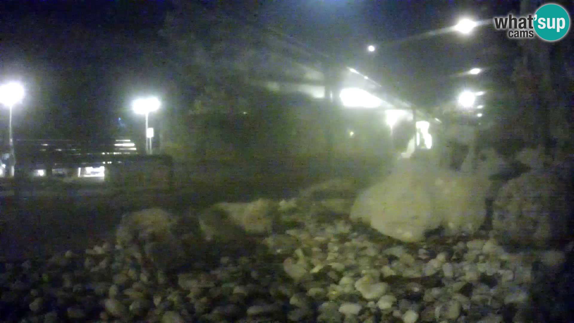 Outdoor Marine Aquarium Rogoznica webcam Croatia