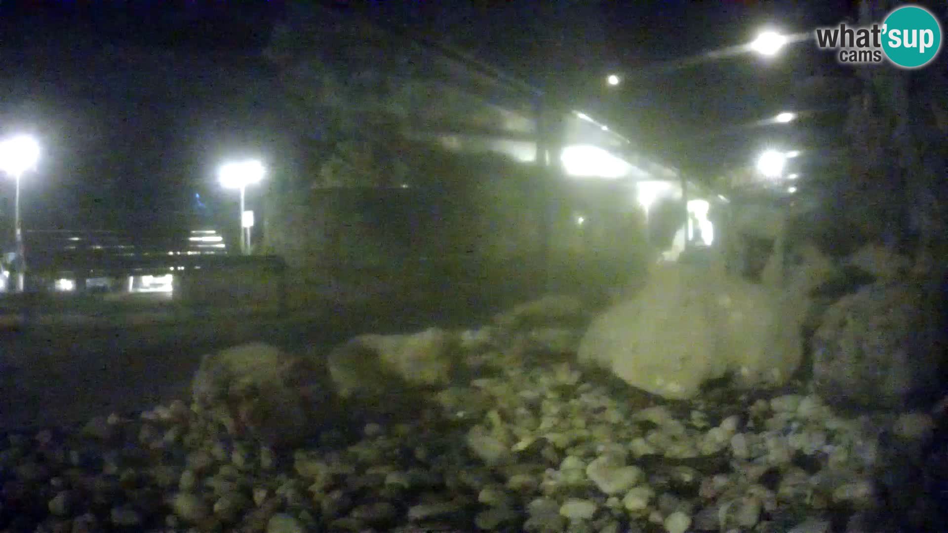 Webcam de l’aquarium marin extérieur de Rogoznica Croatie