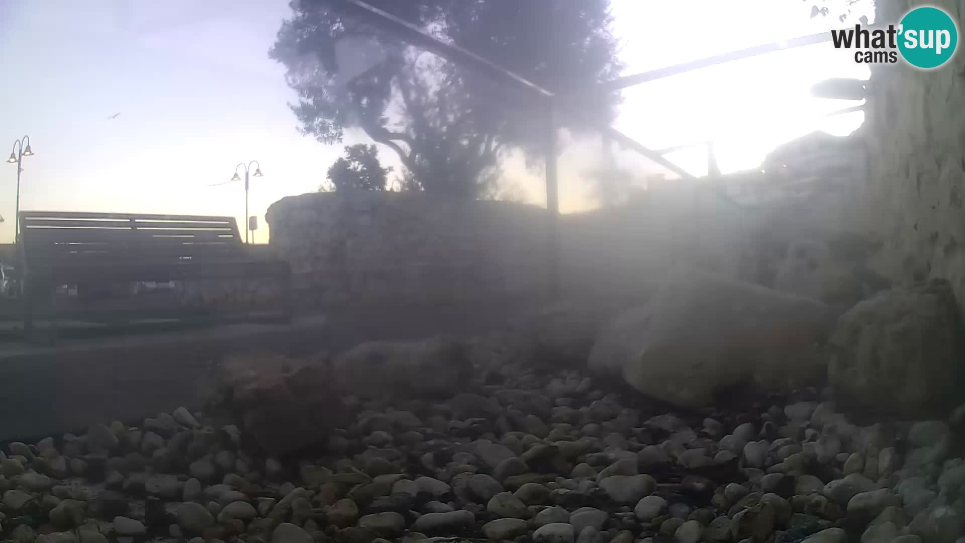 Acuario marino al aire libre Rogoznica webcam Croacia