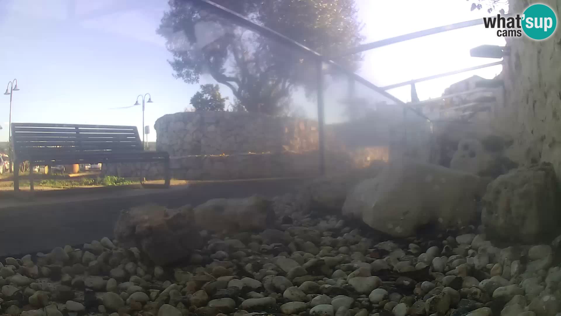 Acuario marino al aire libre Rogoznica webcam Croacia