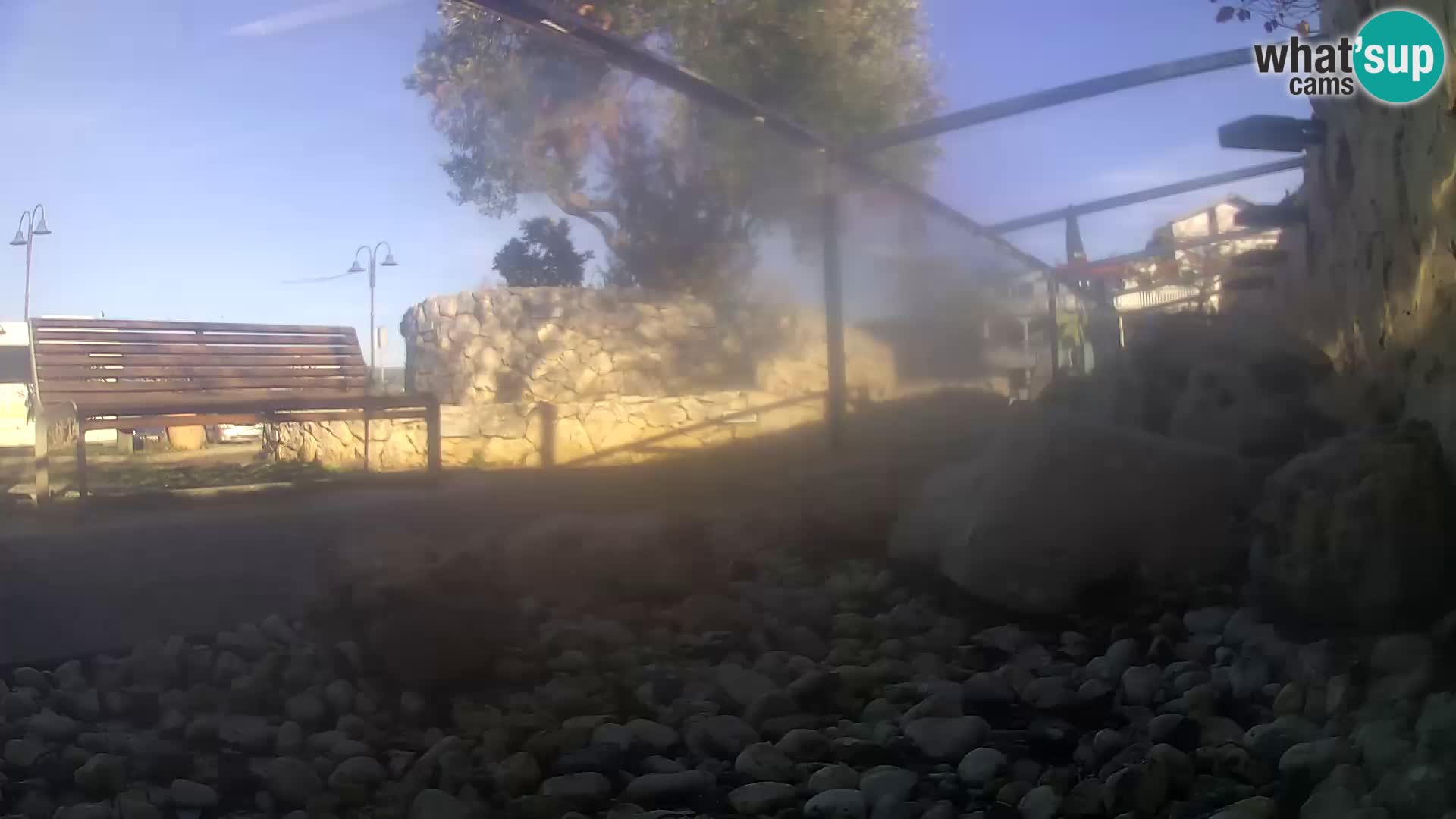 Vanjski morski akvarij Rogoznica web kamera Hrvatska