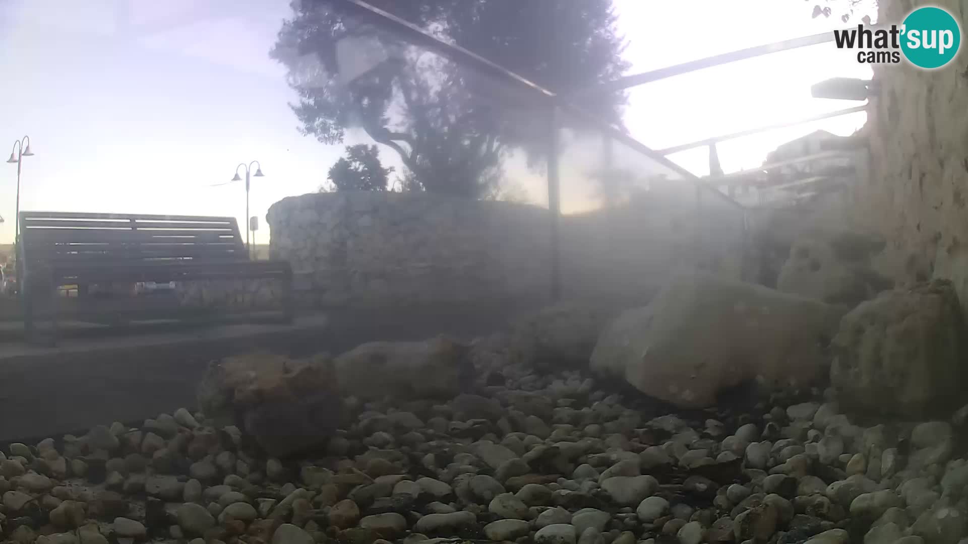 Zunanji morski akvarij Rogoznica spletna kamera Hrvaška