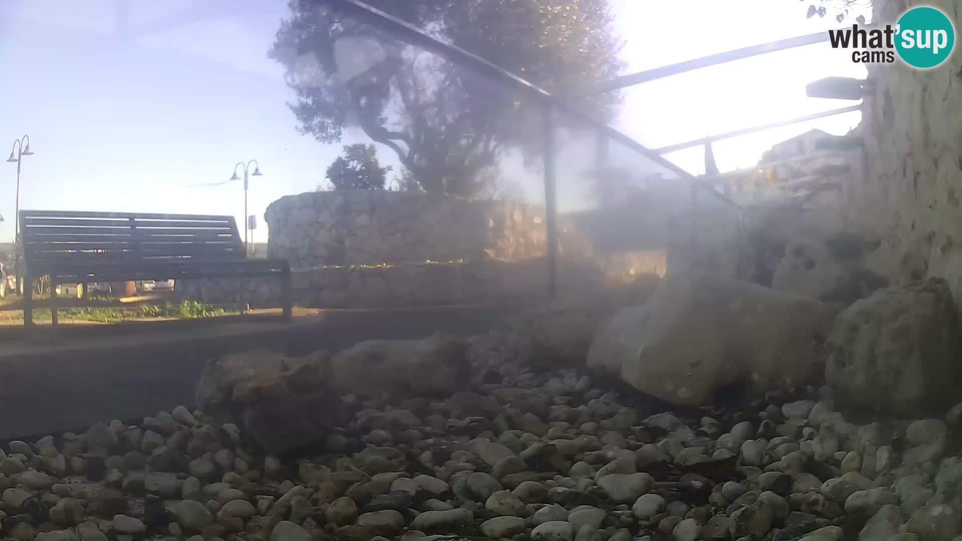 Webcam de l’aquarium marin extérieur de Rogoznica Croatie