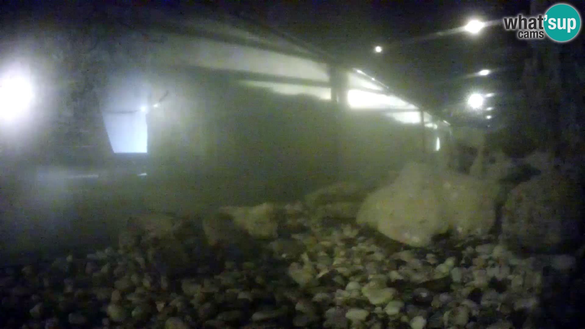 Aquario marino esterno –  Rogoznica livecam Croazia