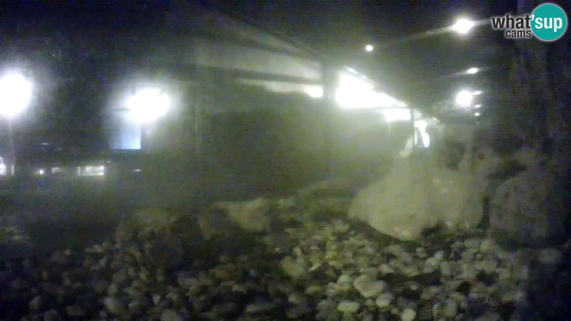 Acuario marino al aire libre Rogoznica webcam Croacia