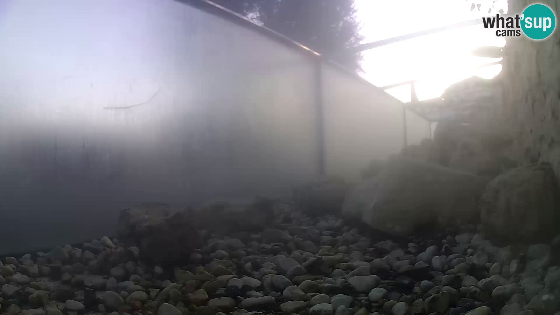 Outdoor Marine Aquarium Rogoznica webcam Croatia