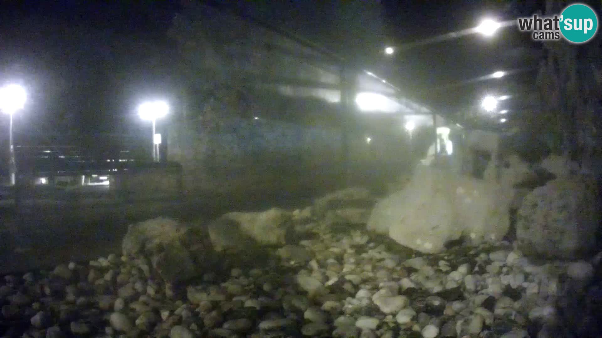 Zunanji morski akvarij Rogoznica spletna kamera Hrvaška