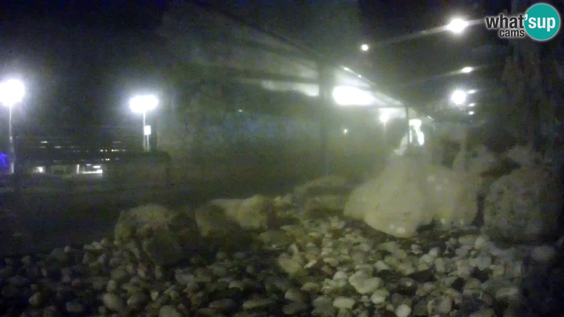 Vanjski morski akvarij Rogoznica web kamera Hrvatska