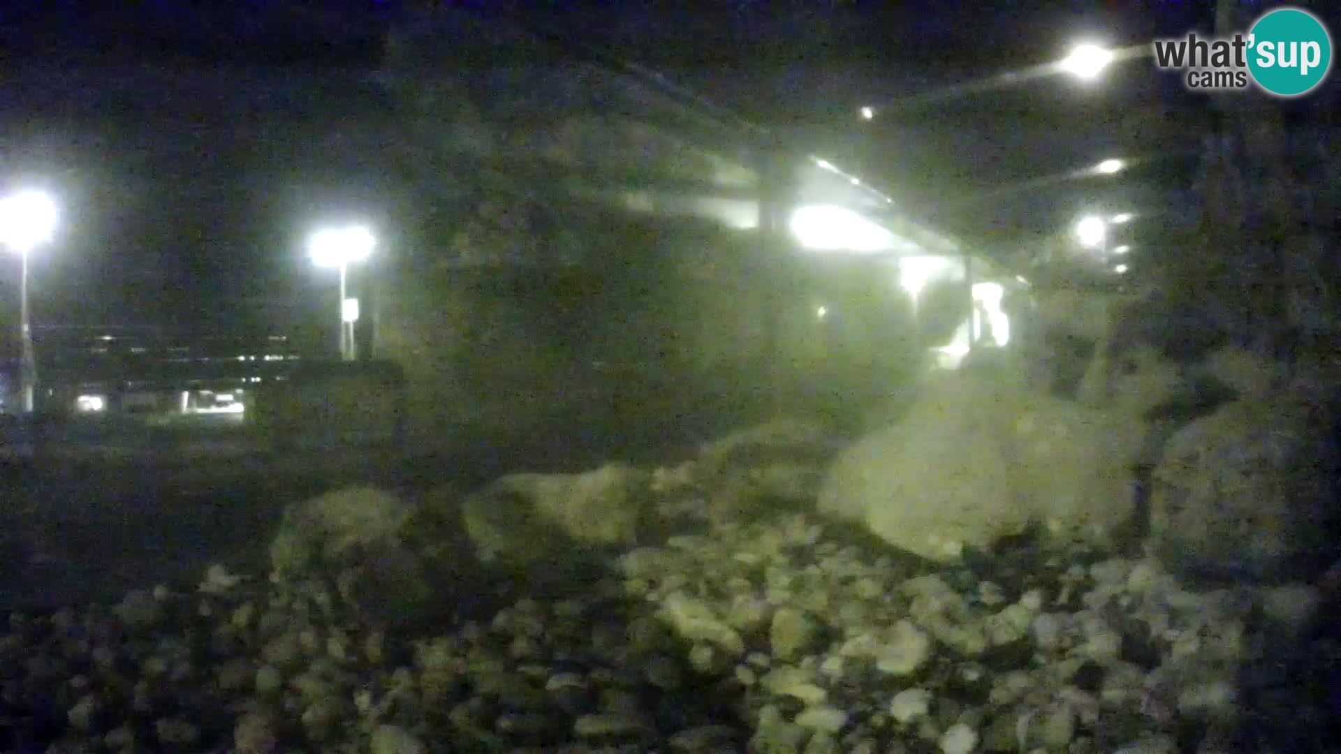 Aquario marino esterno –  Rogoznica livecam Croazia