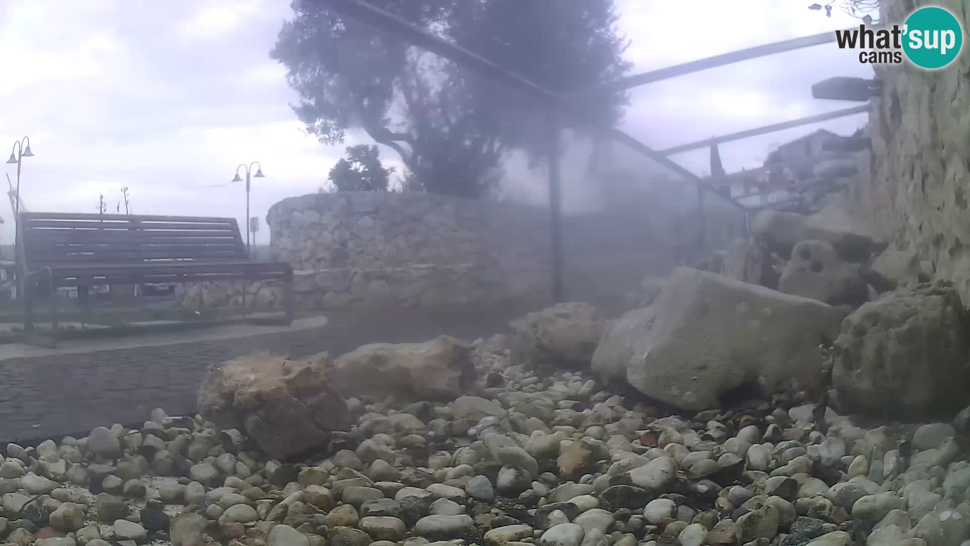 Acuario marino al aire libre Rogoznica webcam Croacia