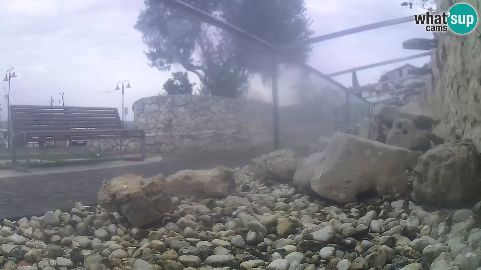 Zunanji morski akvarij Rogoznica spletna kamera Hrvaška