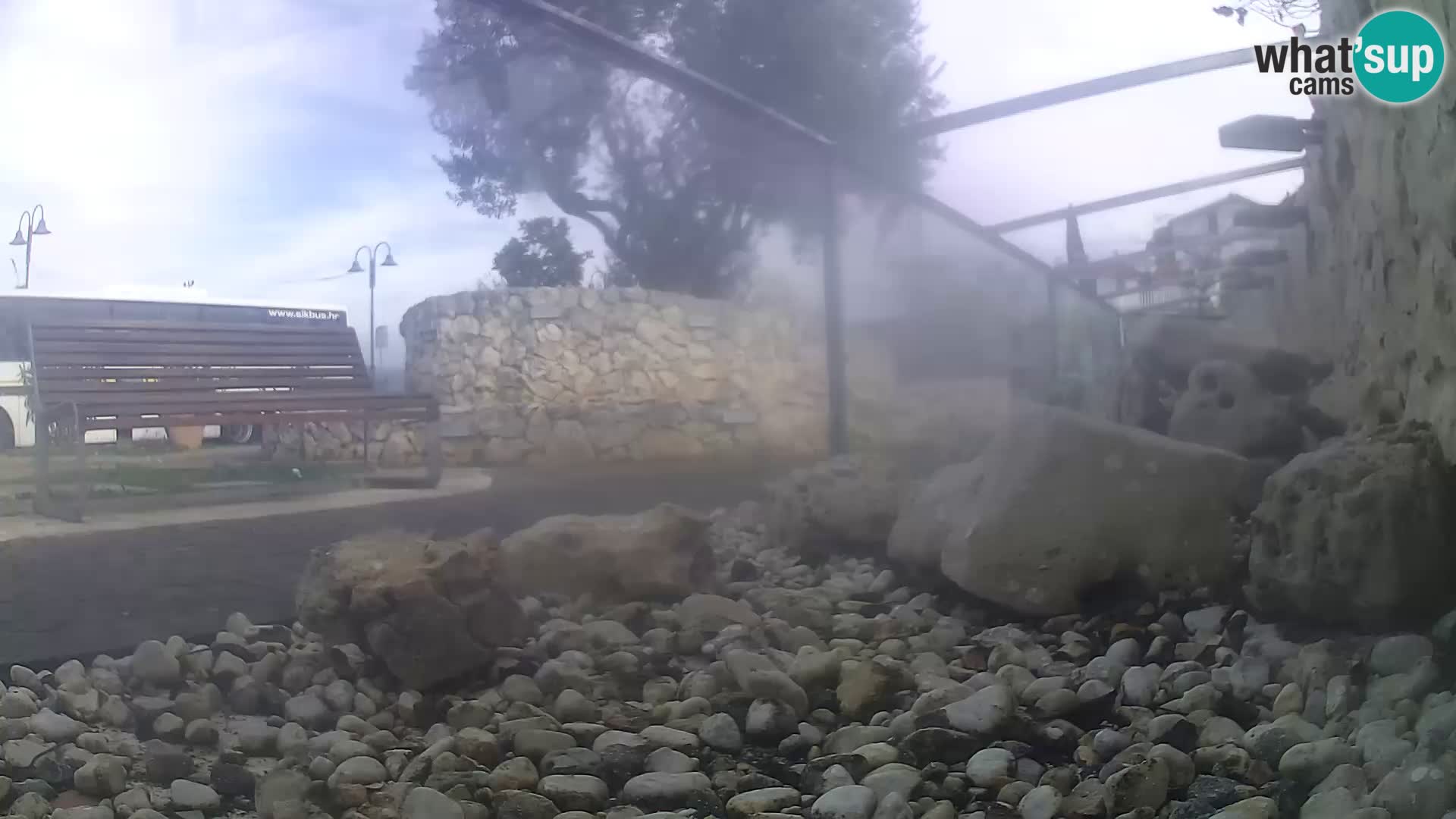Vanjski morski akvarij Rogoznica web kamera Hrvatska