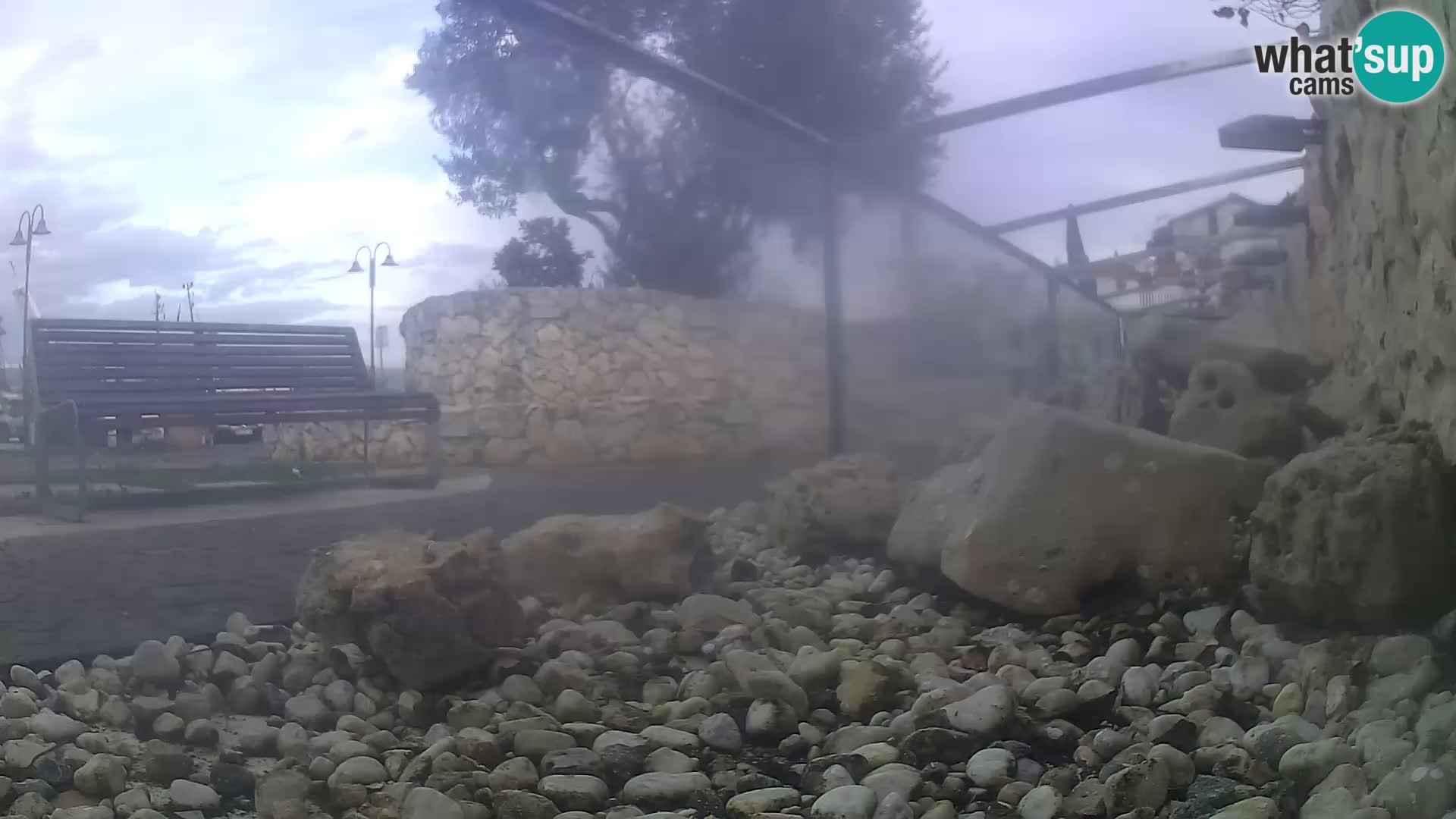 Vanjski morski akvarij Rogoznica web kamera Hrvatska