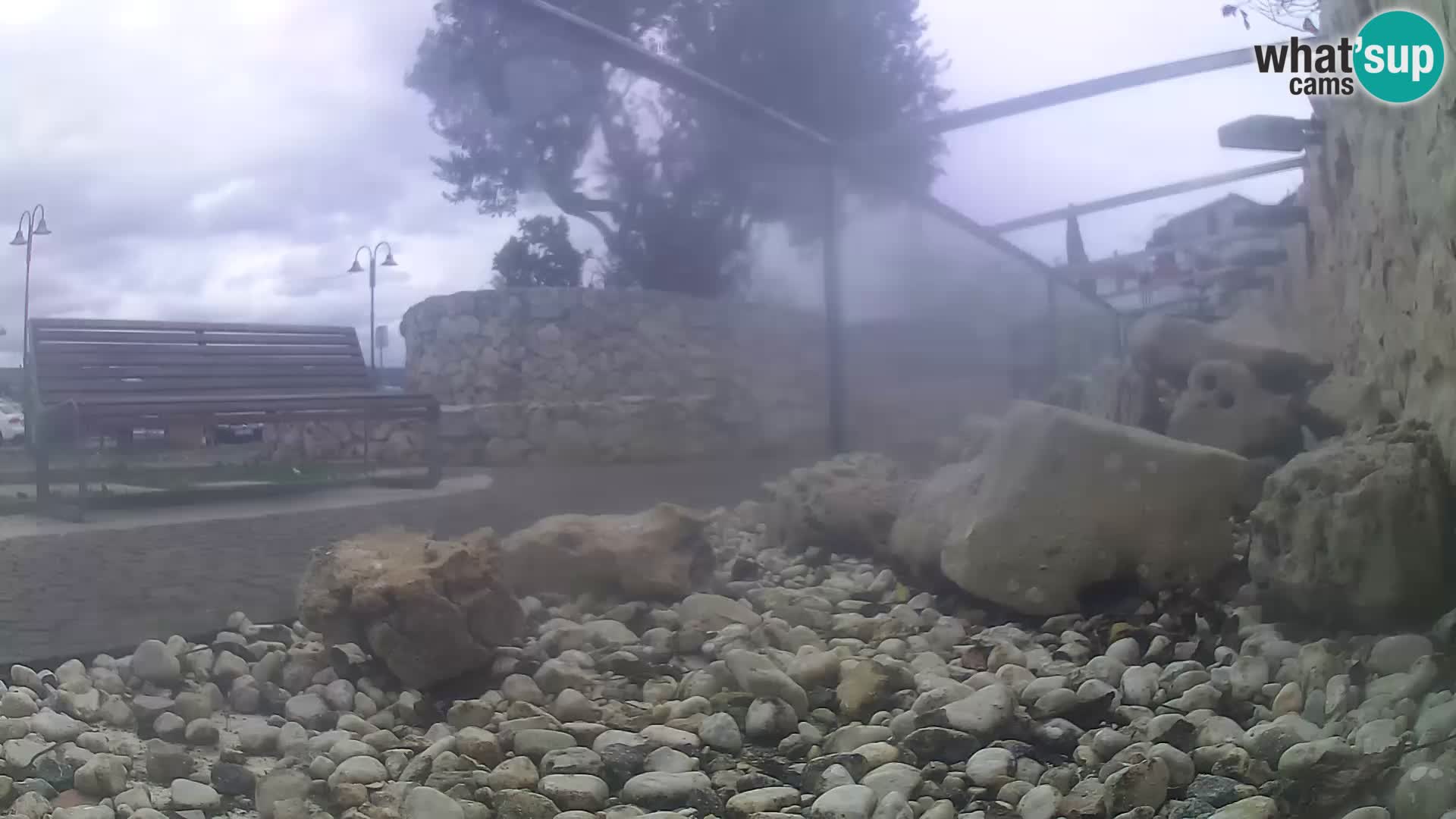 Acuario marino al aire libre Rogoznica webcam Croacia