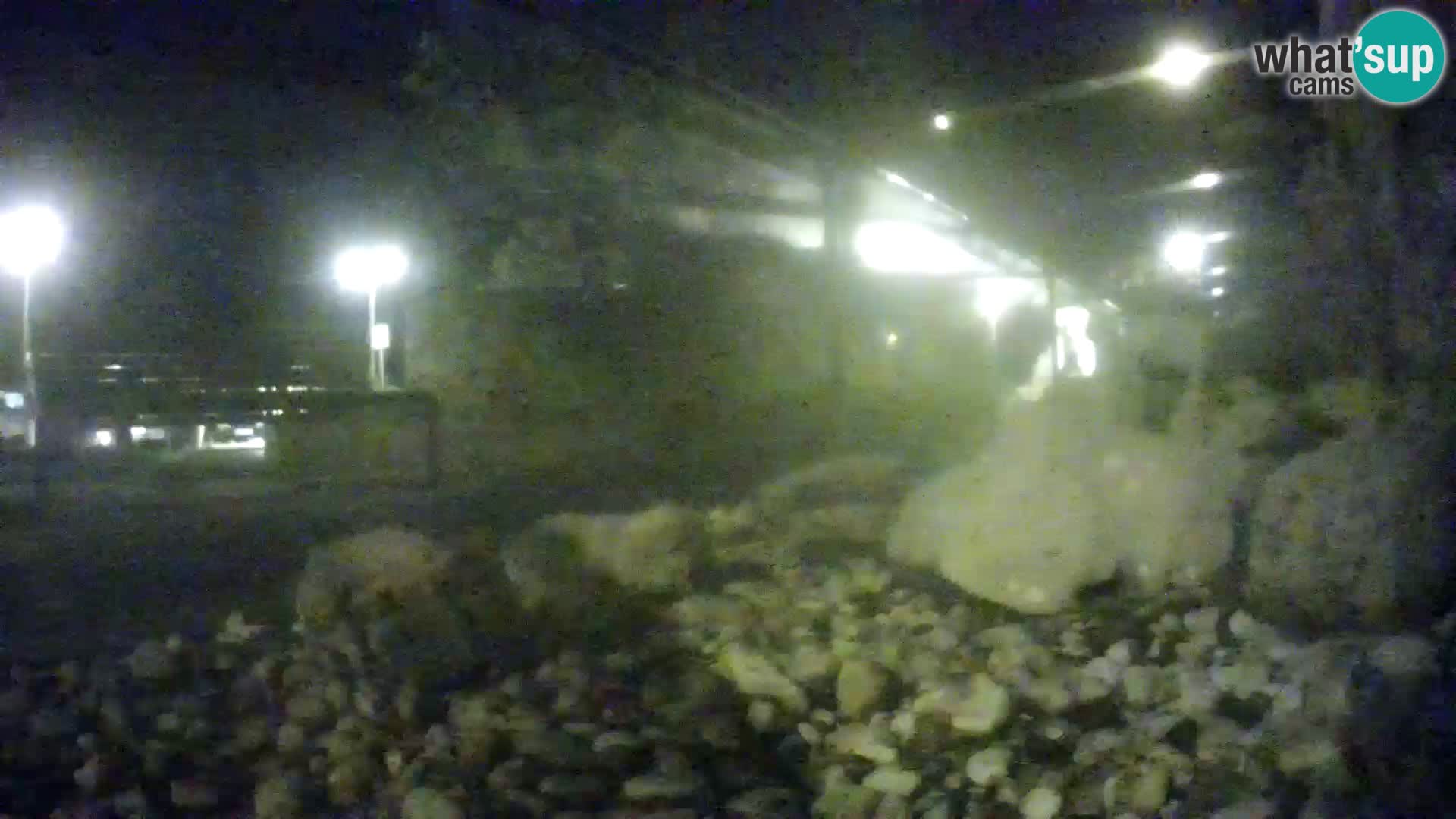 Marine Aquarium im Freien Rogoznica webcam Kroatien