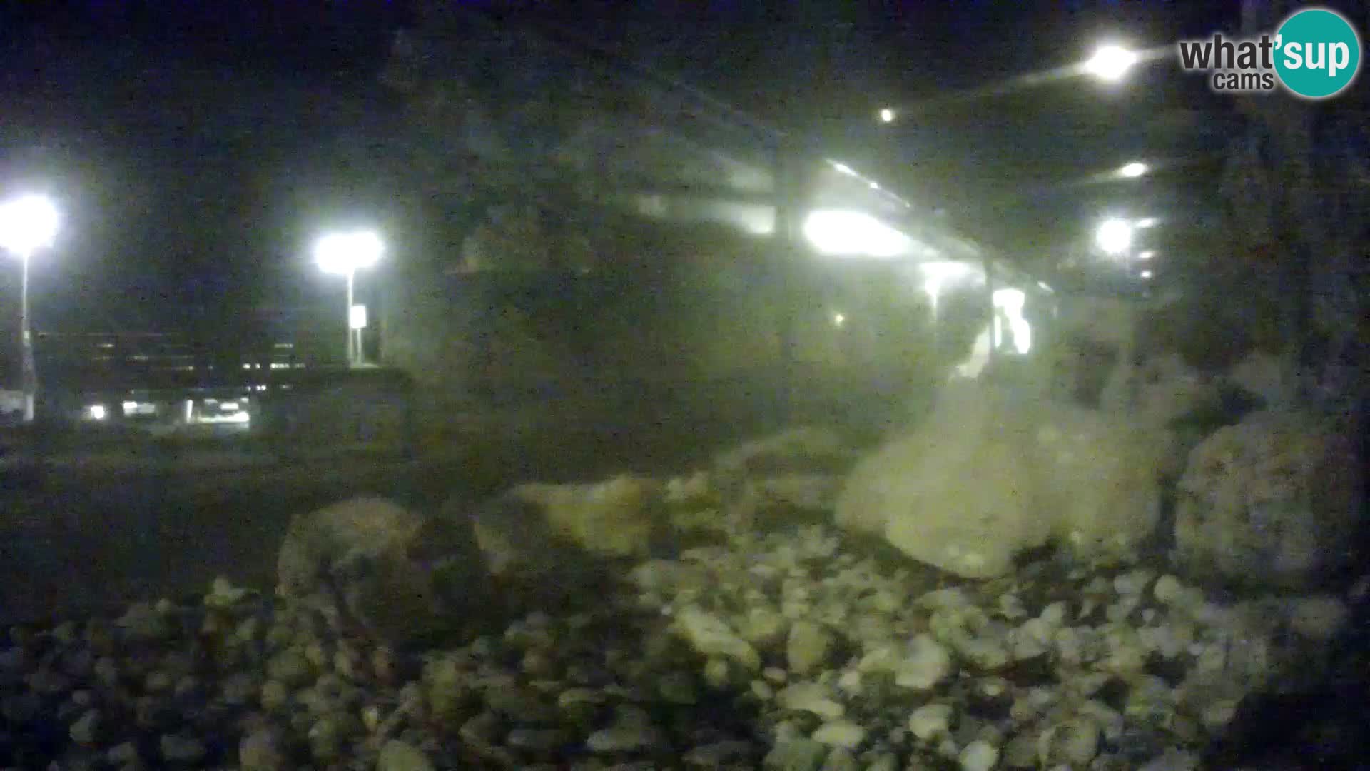 Outdoor Marine Aquarium Rogoznica webcam Croatia