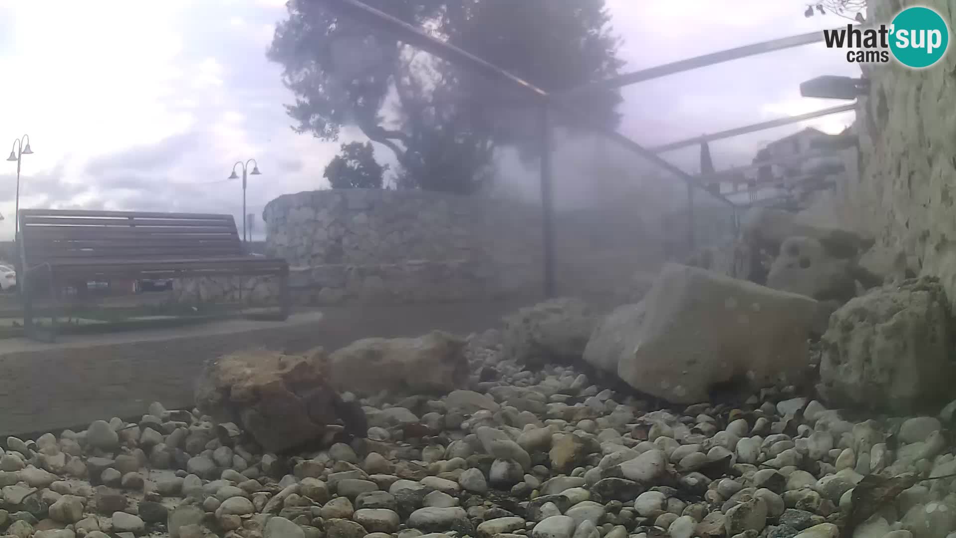 Acuario marino al aire libre Rogoznica webcam Croacia