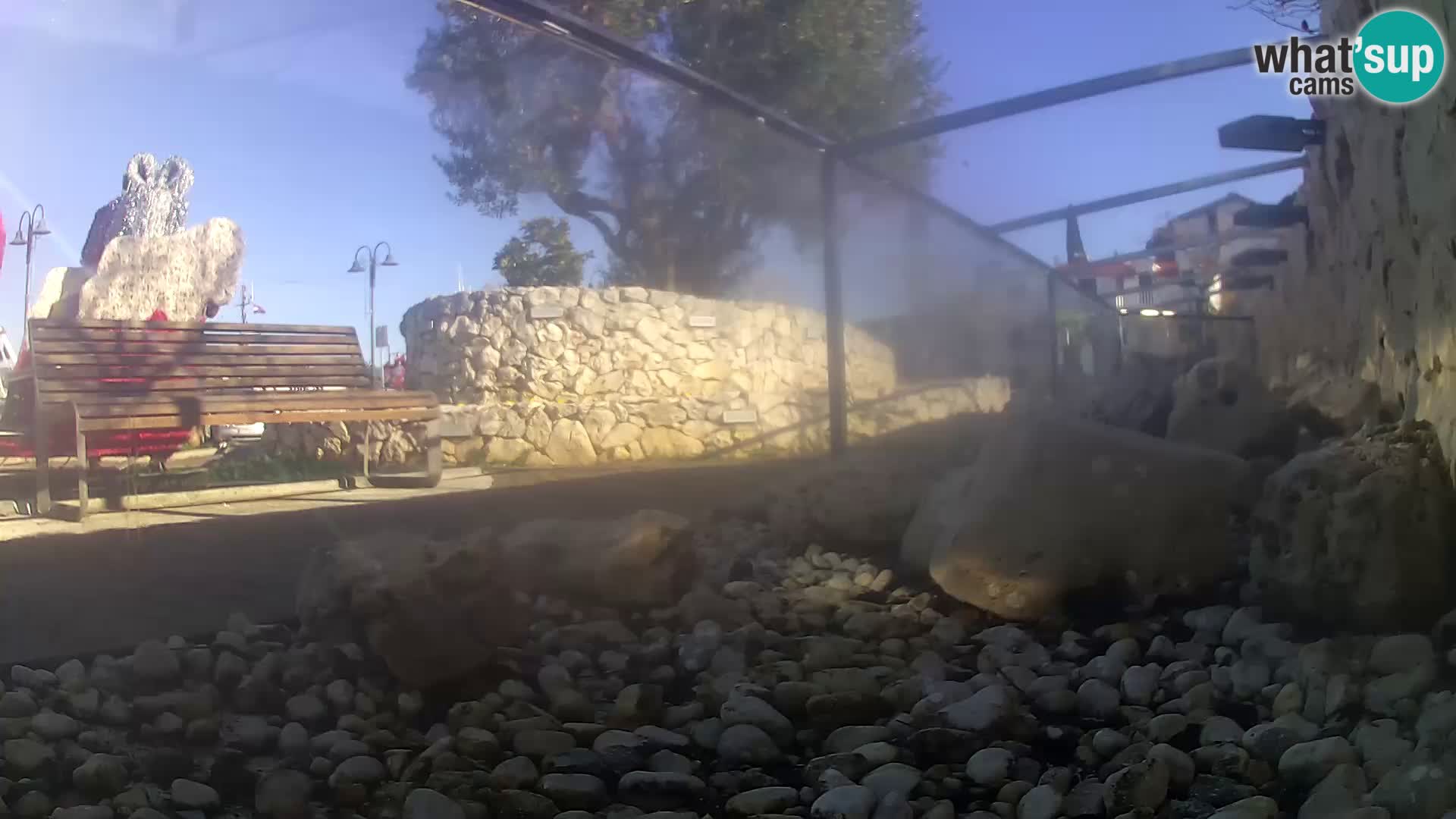 Webcam de l’aquarium marin extérieur de Rogoznica Croatie