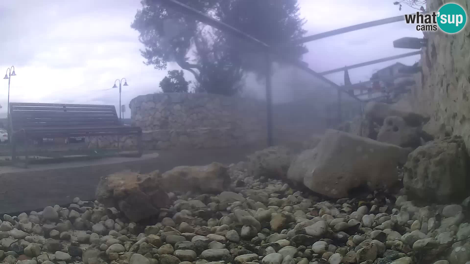 Vanjski morski akvarij Rogoznica web kamera Hrvatska