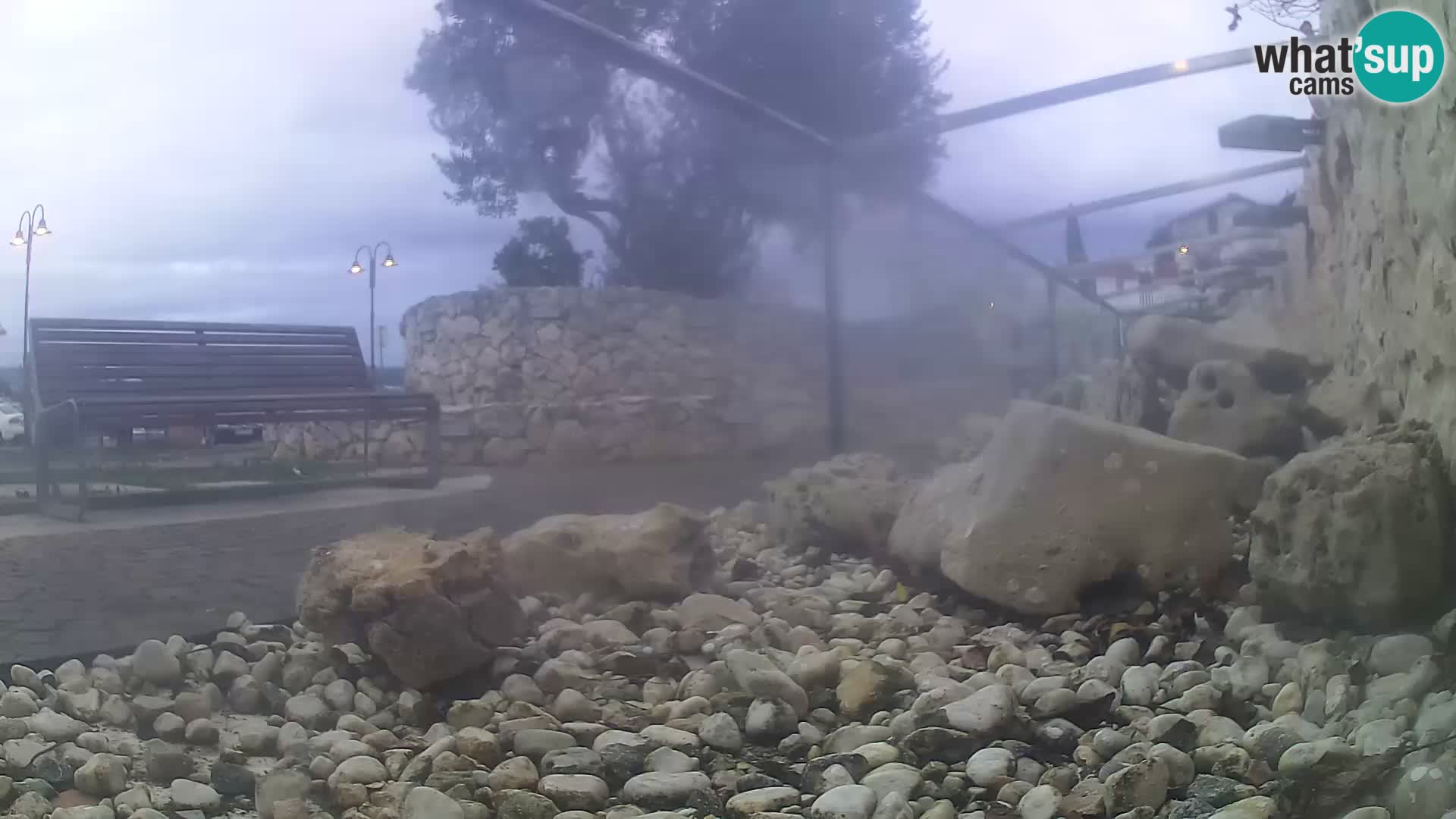 Zunanji morski akvarij Rogoznica spletna kamera Hrvaška