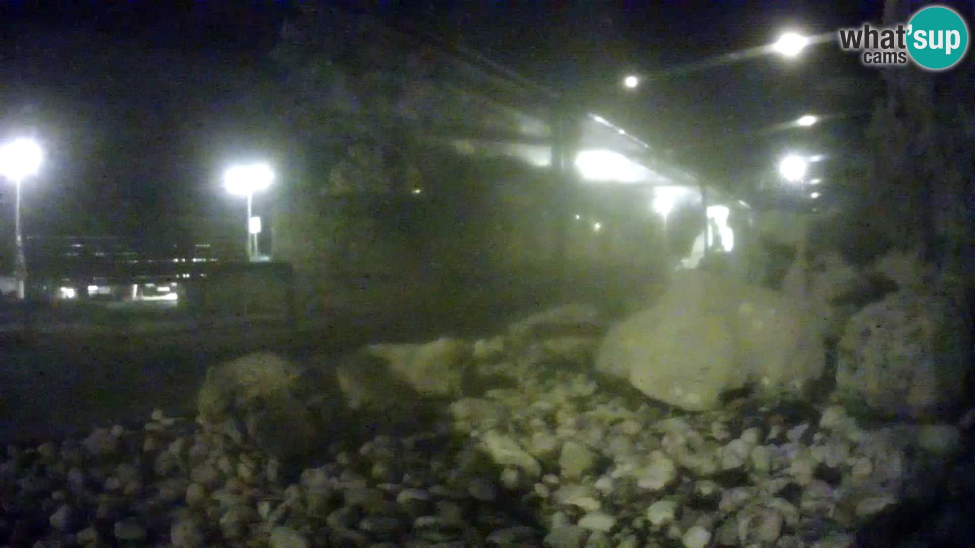 Outdoor Marine Aquarium Rogoznica webcam Croatia