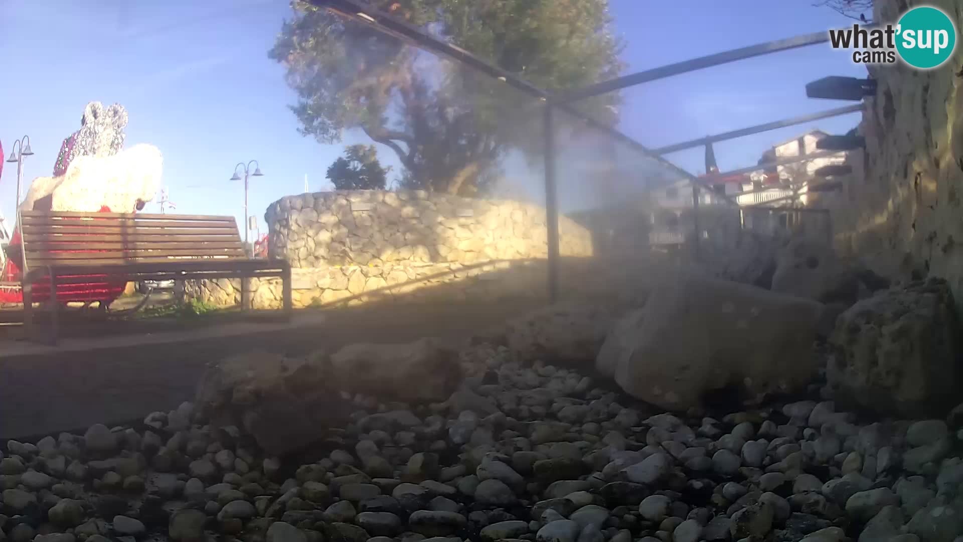 Zunanji morski akvarij Rogoznica spletna kamera Hrvaška