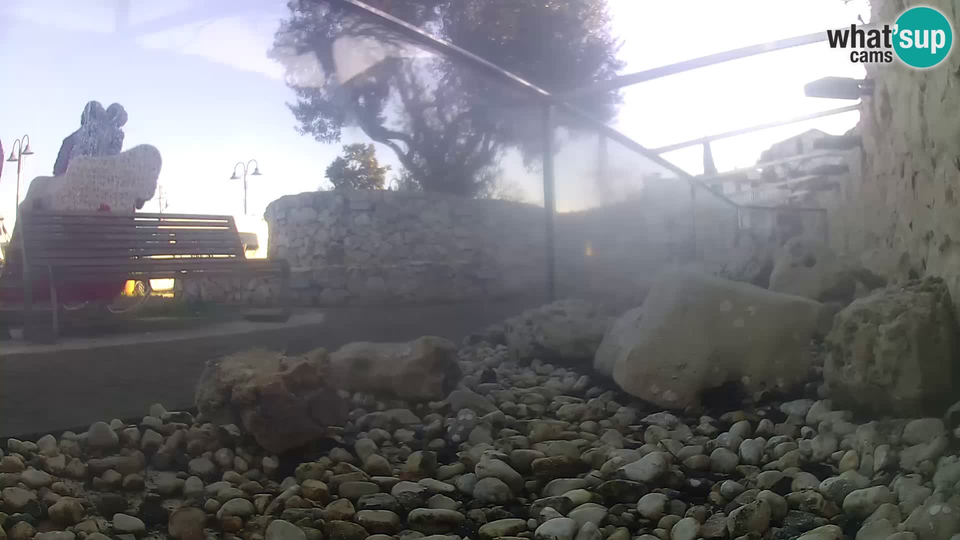 Outdoor Marine Aquarium Rogoznica webcam Croatia