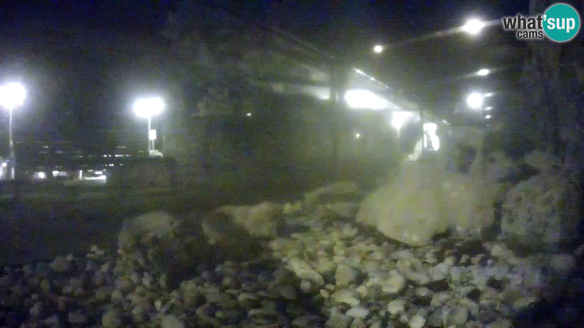 Aquario marino esterno –  Rogoznica livecam Croazia