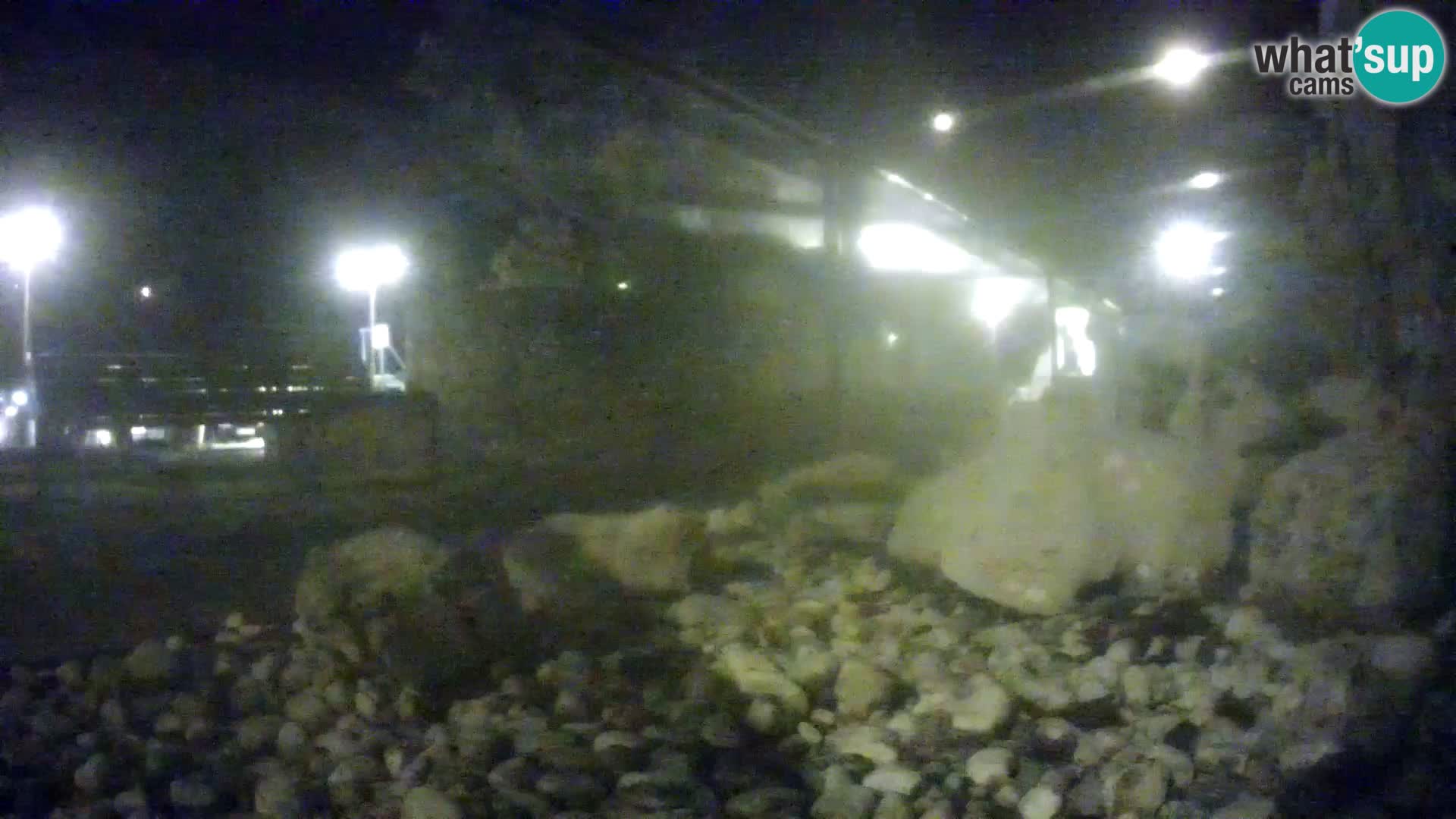 Zunanji morski akvarij Rogoznica spletna kamera Hrvaška