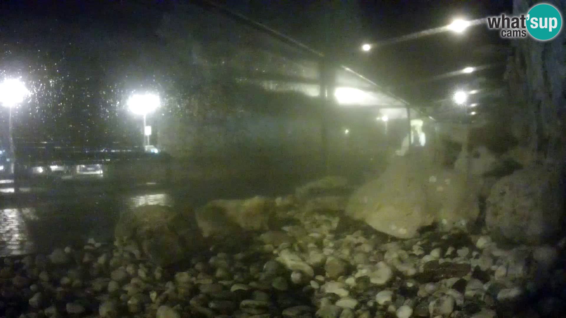 Outdoor Marine Aquarium Rogoznica webcam Croatia