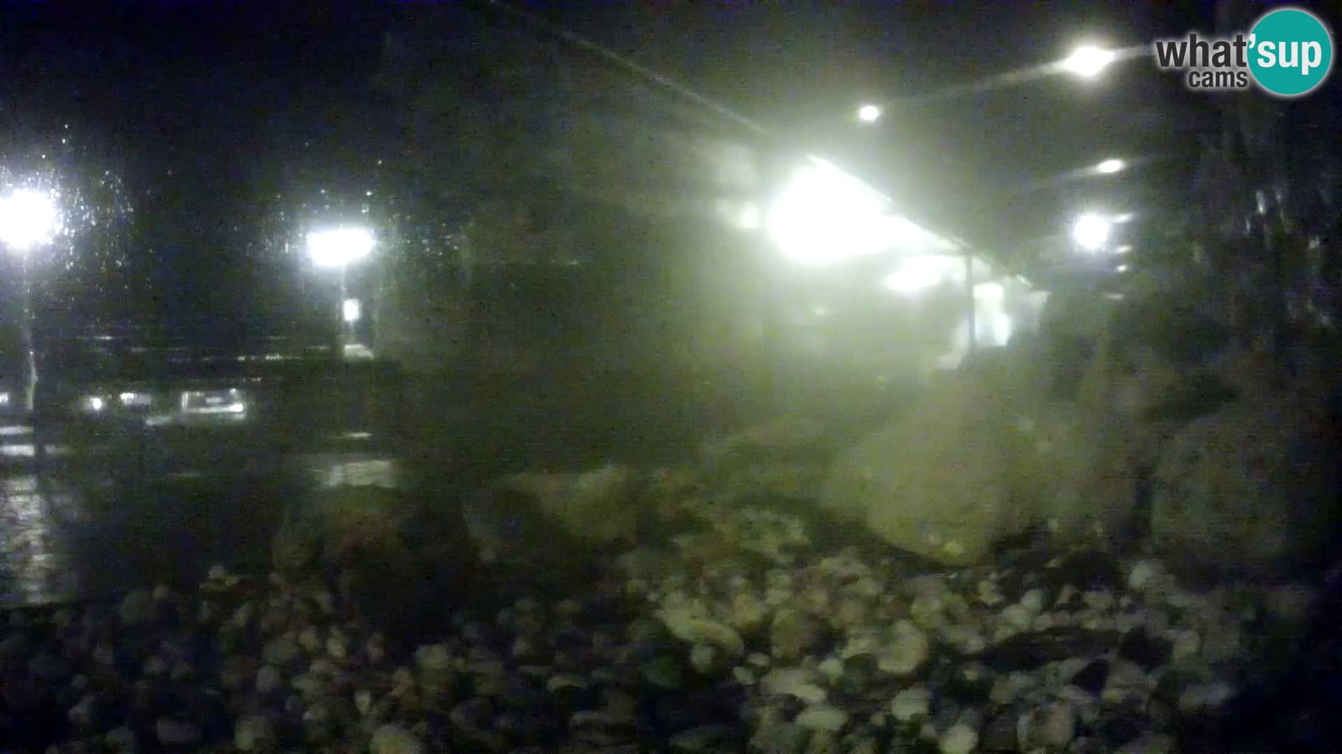 Vanjski morski akvarij Rogoznica web kamera Hrvatska